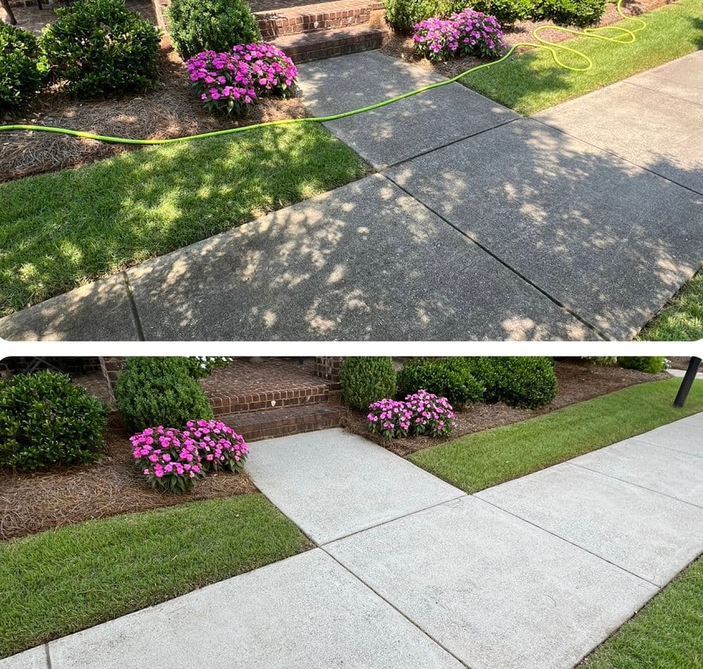 Before and after sidewalk cleaning, highlighting bright flowers and fresh concrete.