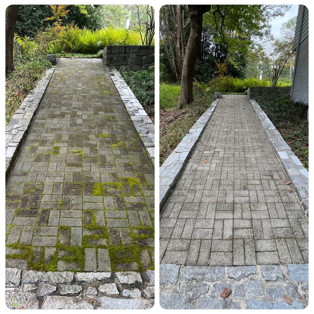 Before and after images of a stone walkway cleaning, showing significant moss removal.